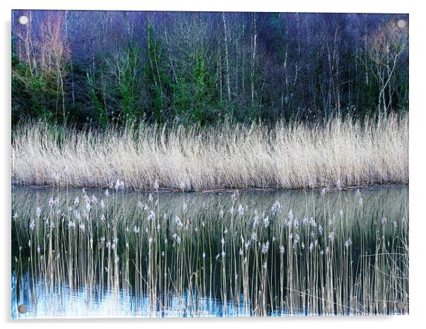 Clockburn Lake in Derwenthaugh Country Park Acrylic by Mark Sunderland