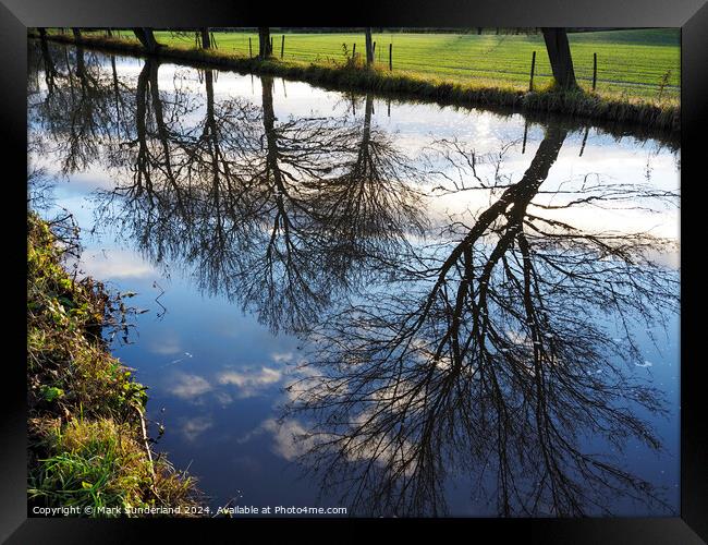 Winter Reflections in Ripon Canal Framed Print by Mark Sunderland