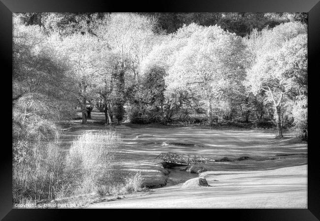 Dartmoor Morning Frost Infrared Framed Print by David Pyatt