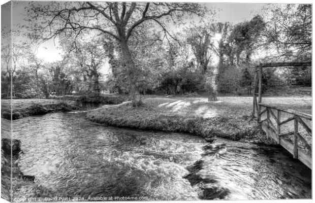 Dartmoor River Bovey  Canvas Print by David Pyatt