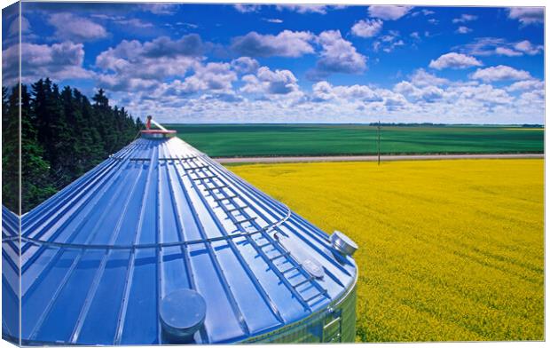 Farmland With Grain Bin in the Foreground Canvas Print by Dave Reede