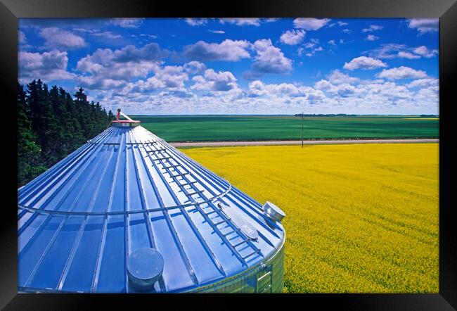 Farmland With Grain Bin in the Foreground Framed Print by Dave Reede