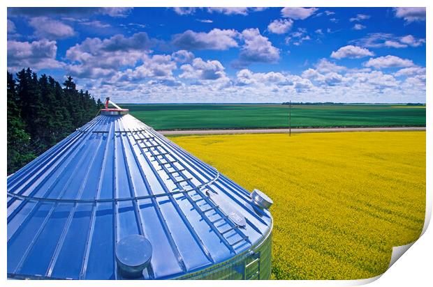 Farmland With Grain Bin in the Foreground Print by Dave Reede