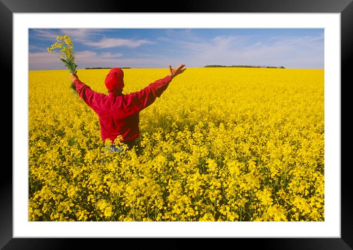 looking out over canola field Framed Mounted Print by Dave Reede