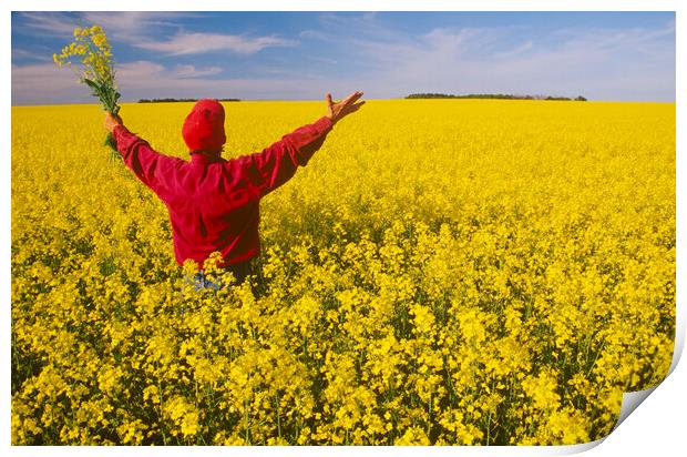 looking out over canola field Print by Dave Reede