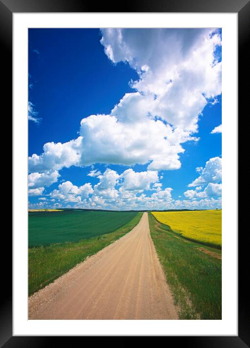Road Through Farmland Framed Mounted Print by Dave Reede