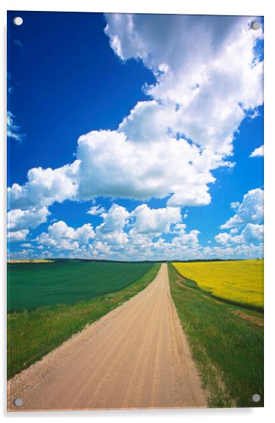 Road Through Farmland Acrylic by Dave Reede