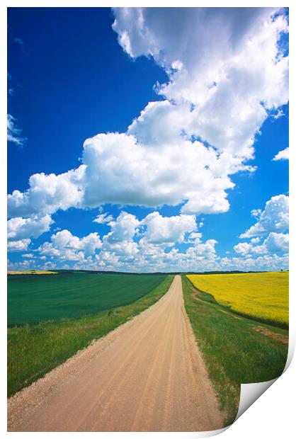 Road Through Farmland Print by Dave Reede
