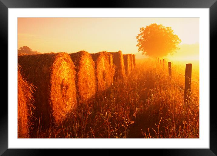 wheat straw bales at the edge of farmland Framed Mounted Print by Dave Reede