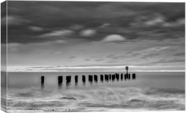 Corton Sea Defences Mono Canvas Print by David Powley