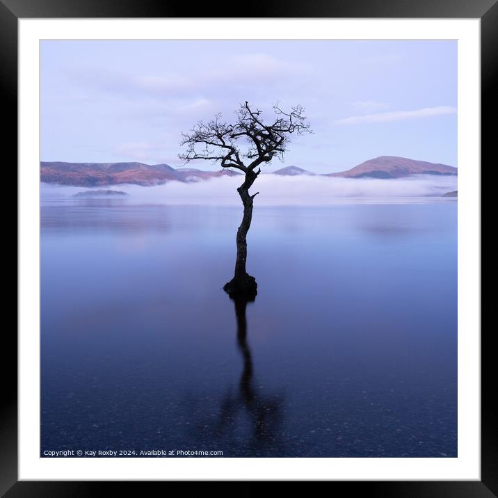 Lone Tree Milarrochy Bay Loch Lomond Framed Mounted Print by Kay Roxby