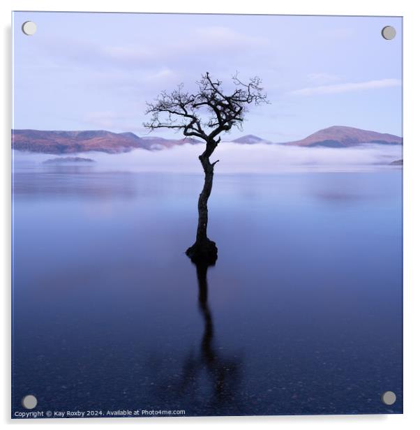 Lone Tree Milarrochy Bay Loch Lomond Acrylic by Kay Roxby