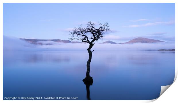 Loch Lomond Print by Kay Roxby