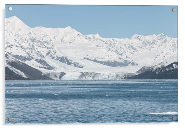 Harvard Tidewater Glacier at the end of College Fjord, Alaska, USA Acrylic by Dave Collins