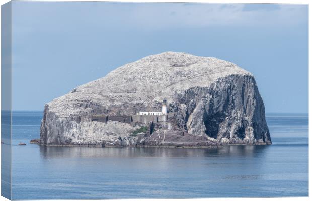 Bass Rock Lighthouse and Nature Reserve in the Firth of Forth, Bass Rock, Scotland Canvas Print by Dave Collins