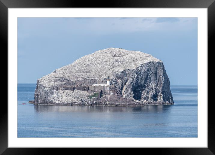 Bass Rock Lighthouse and Nature Reserve in the Firth of Forth, Bass Rock, Scotland Framed Mounted Print by Dave Collins