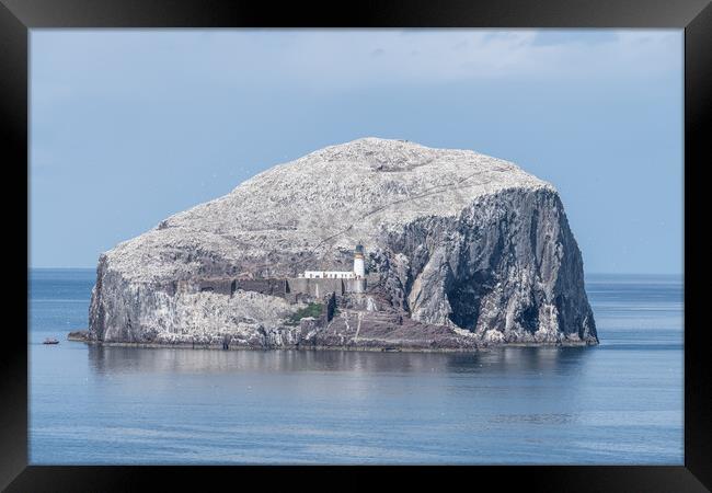 Bass Rock Lighthouse and Nature Reserve in the Firth of Forth, Bass Rock, Scotland Framed Print by Dave Collins