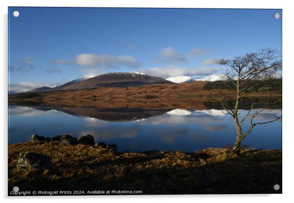 Loch Tulla  reflections ,  the Highlands of Scotland Acrylic by Photogold Prints