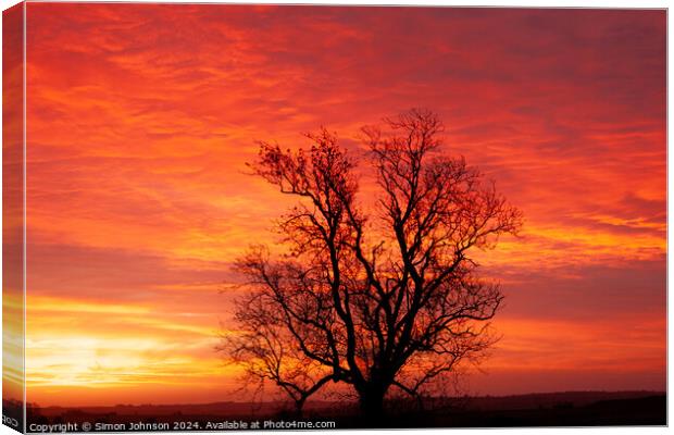 winter sunrise with tree Silhouette  Canvas Print by Simon Johnson