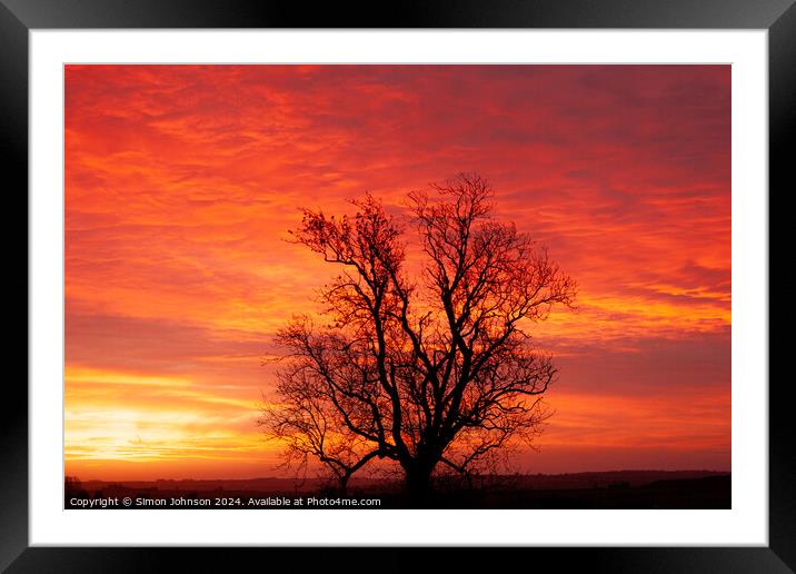 winter sunrise with tree Silhouette  Framed Mounted Print by Simon Johnson