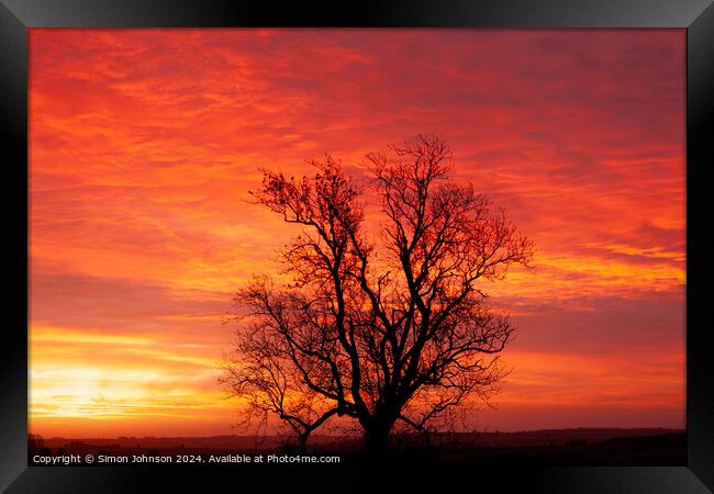 winter sunrise with tree Silhouette  Framed Print by Simon Johnson