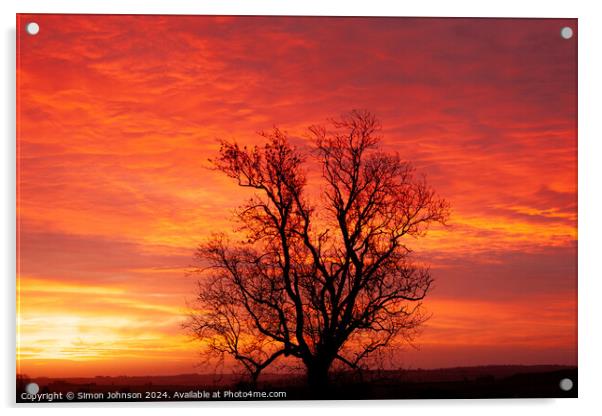 winter sunrise with tree Silhouette  Acrylic by Simon Johnson