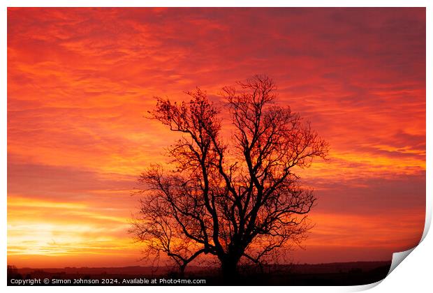 winter sunrise with tree Silhouette  Print by Simon Johnson