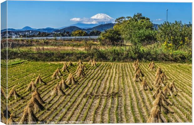 Rice Field Countryside Mount Fuji Hiratsuka Kanagawa Japan Canvas Print by William Perry
