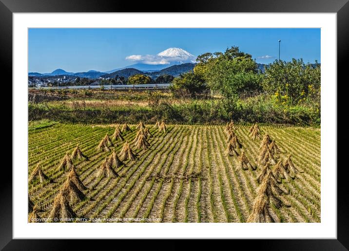 Rice Field Countryside Mount Fuji Hiratsuka Kanagawa Japan Framed Mounted Print by William Perry