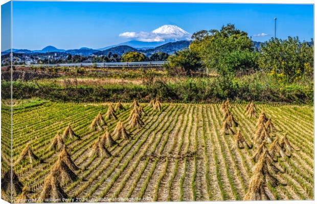 Colorful Rice Field Countryside Mount Fuji Hiratsuka Kanagawa Ja Canvas Print by William Perry