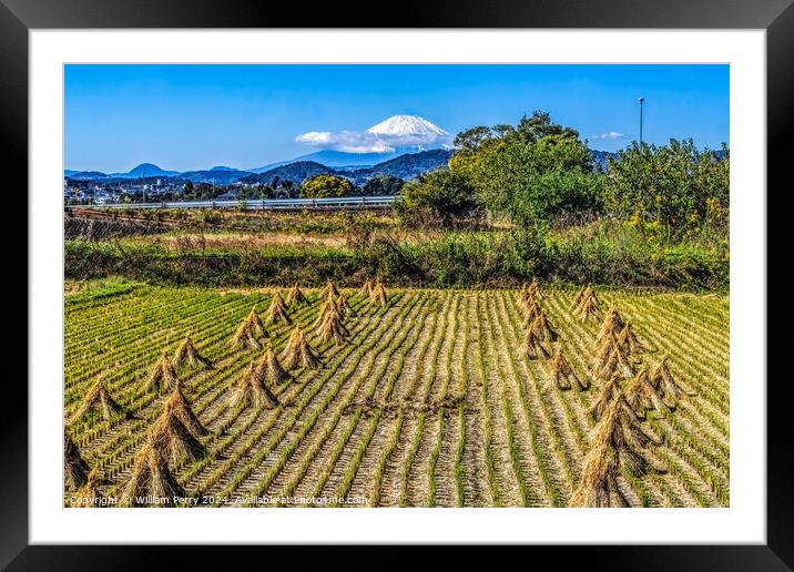 Colorful Rice Field Countryside Mount Fuji Hiratsuka Kanagawa Ja Framed Mounted Print by William Perry