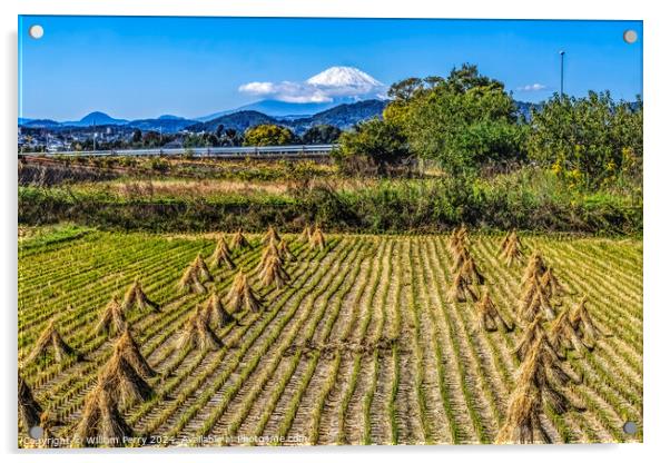Colorful Rice Field Countryside Mount Fuji Hiratsuka Kanagawa Ja Acrylic by William Perry