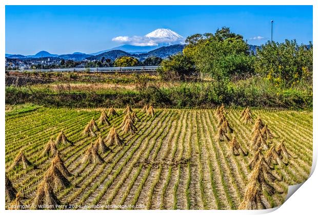 Colorful Rice Field Countryside Mount Fuji Hiratsuka Kanagawa Ja Print by William Perry