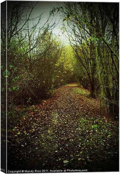 Leafy path Canvas Print by Mandy Rice