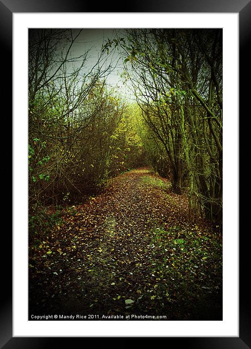 Leafy path Framed Mounted Print by Mandy Rice