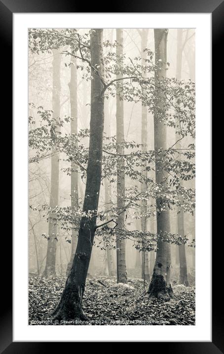 misty woodland Framed Mounted Print by Simon Johnson