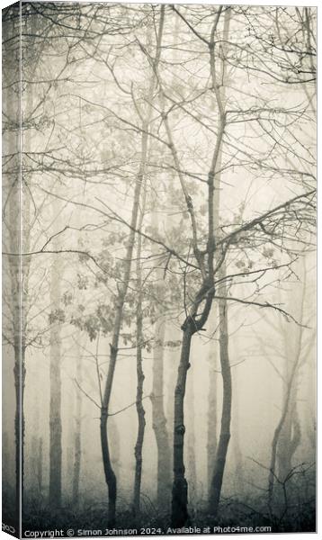  misty woodland Canvas Print by Simon Johnson