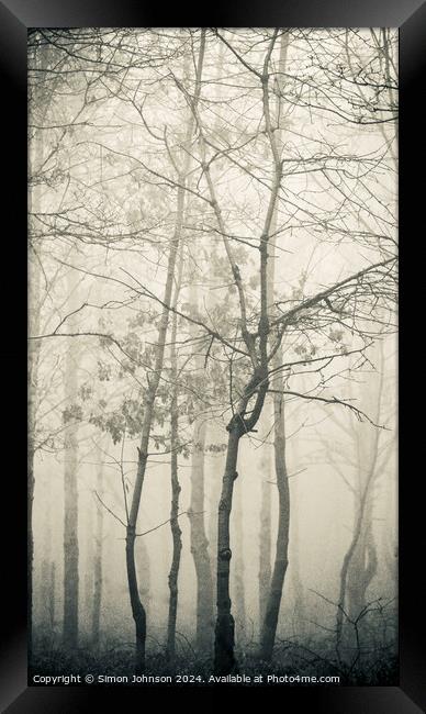  misty woodland Framed Print by Simon Johnson