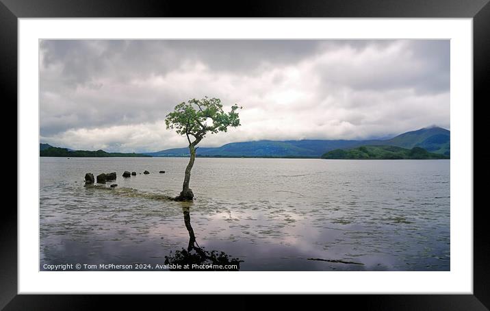 Loch Lomond Framed Mounted Print by Tom McPherson