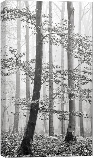  Misty woodland Canvas Print by Simon Johnson
