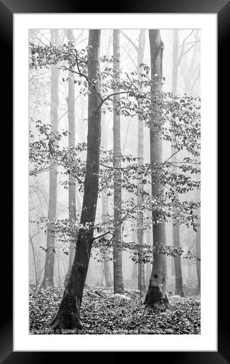  Misty woodland Framed Mounted Print by Simon Johnson