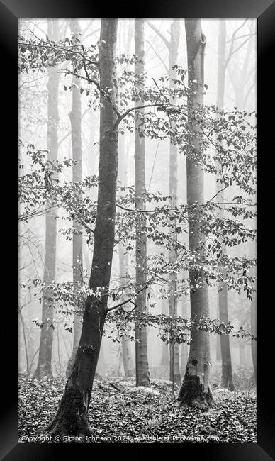  Misty woodland Framed Print by Simon Johnson