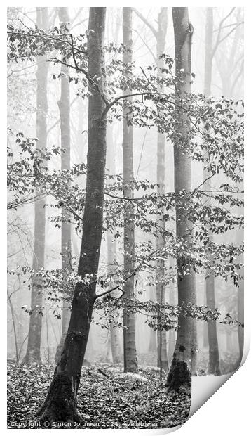  Misty woodland Print by Simon Johnson