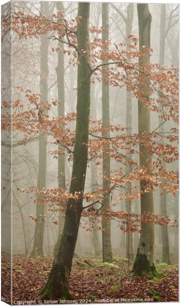 misty woodland Canvas Print by Simon Johnson