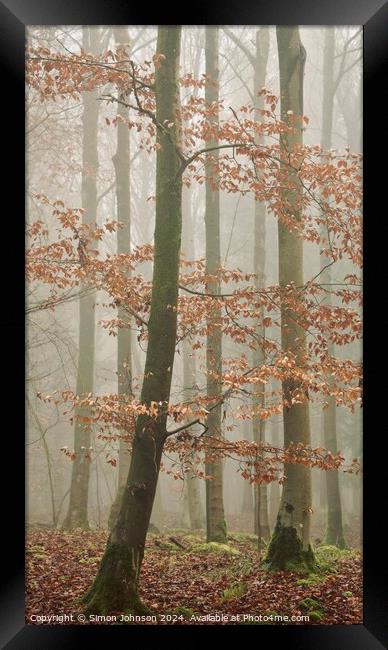 misty woodland Framed Print by Simon Johnson