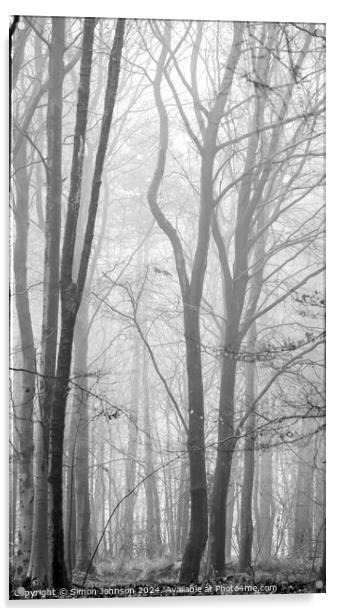 Snowshill woods in mist Acrylic by Simon Johnson