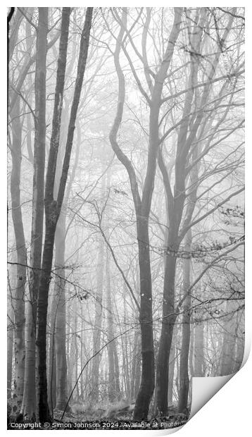 Snowshill woods in mist Print by Simon Johnson