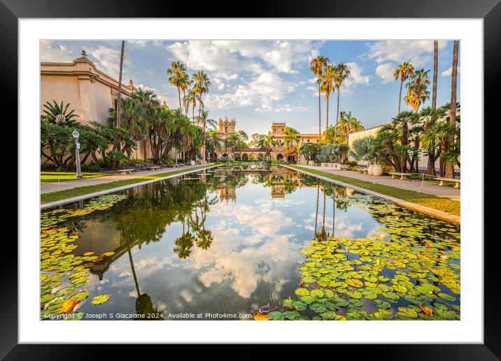 Lily Pond Reflections Framed Mounted Print by Joseph S Giacalone