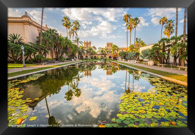 Lily Pond Reflections Framed Print by Joseph S Giacalone