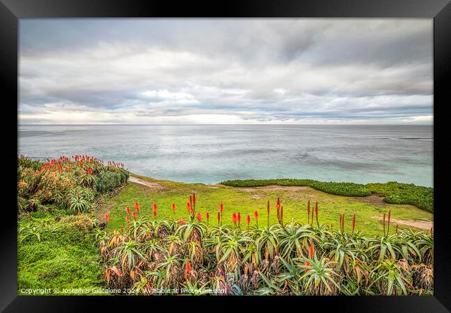 Just Above The Sea Framed Print by Joseph S Giacalone